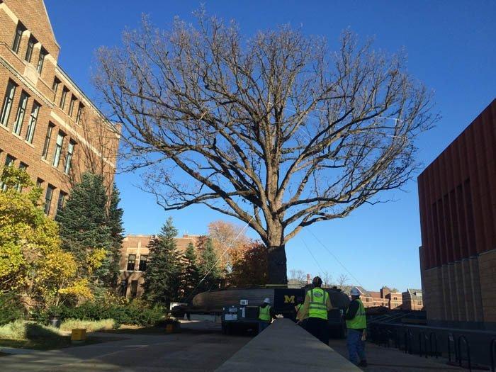 Environmental Design