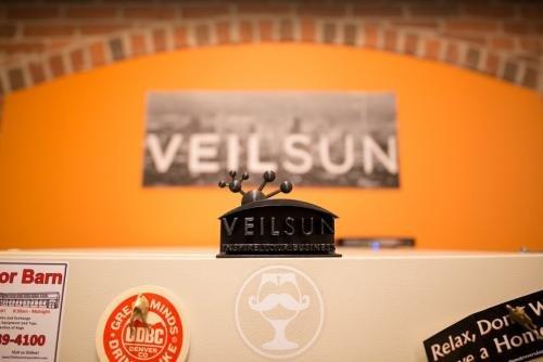 Veilsun Inc