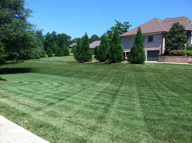 Moser Landscaping & Lawn Management