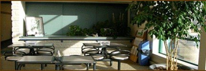 Pat Parent Complete Chimney Service