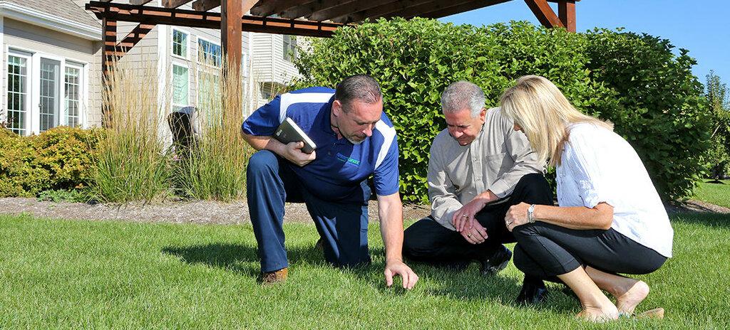 Spring-Green Lawn Care