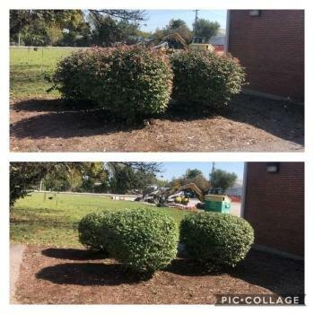 Collinsville Lawn Care