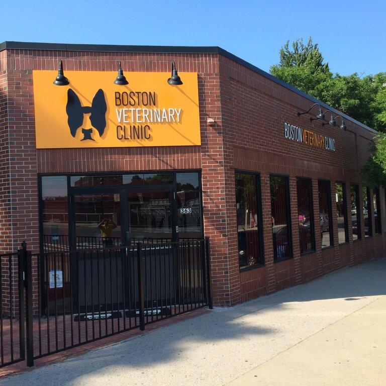Boston Veterinary Clinic Bay Village