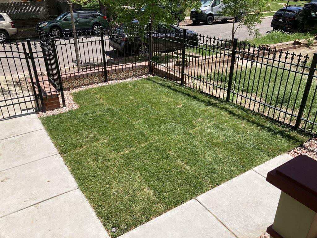 Level Up Lawns