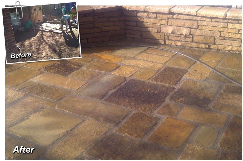 Wild Irishman Tree and Landscape