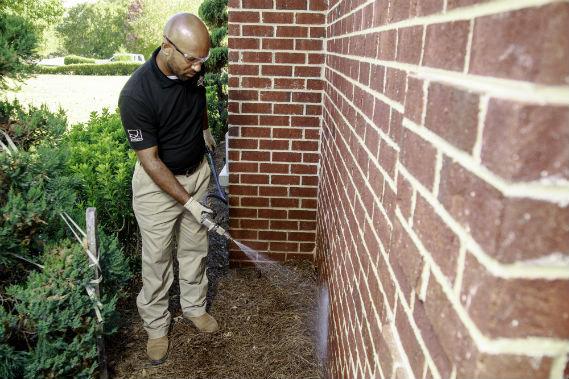 Future Services, Inc.