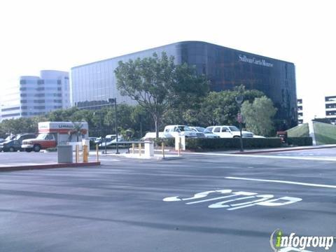 Consultant For Environmental System