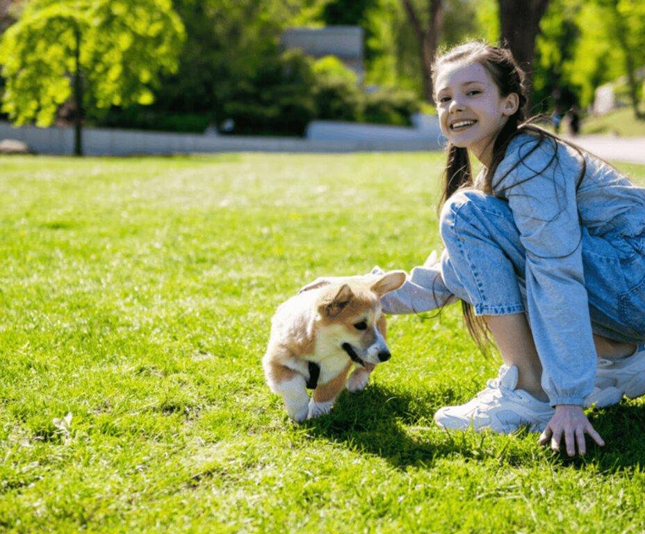 Poo-Fessional Cleanups