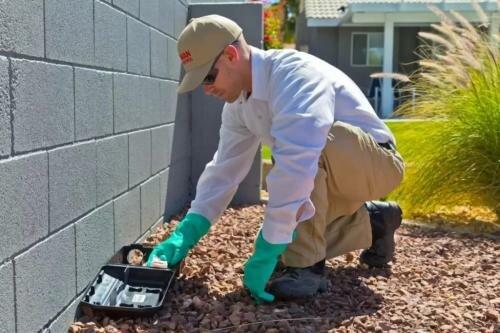 Newman Termite & Pest Control