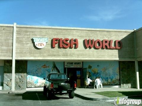 C K Fish World