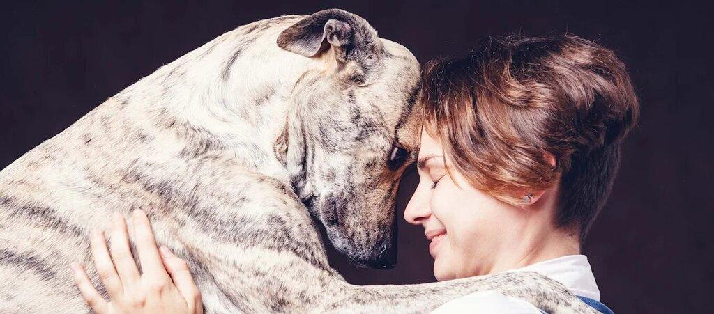 Resting Rainbow Pet Cremation of Philadelphia