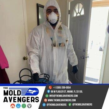 The Mold Avengers