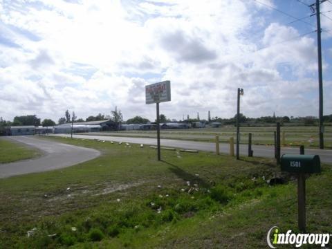 Flea Market of Ortiz Ave