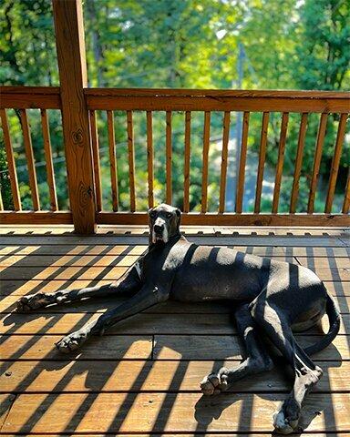 Law Offices of Fisher Wise