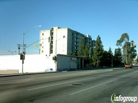 Lotus Blossom Therapy Center