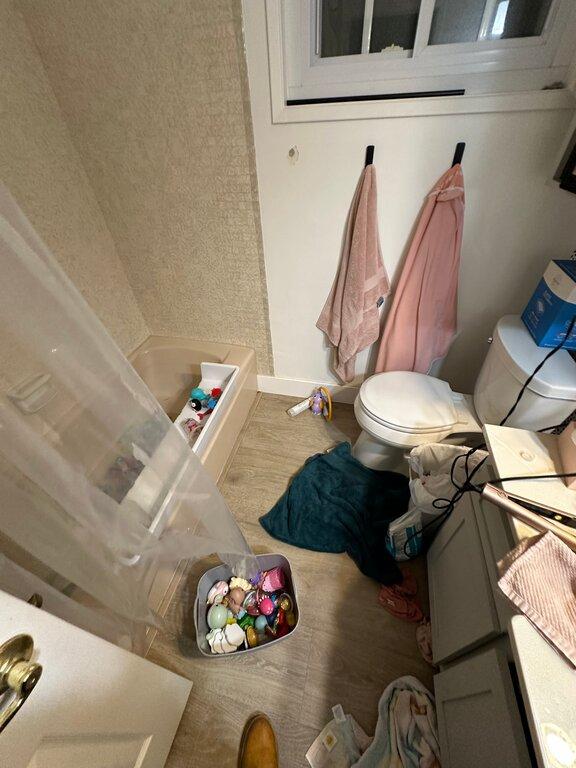 24H Mold Inspection of Santa Barbara