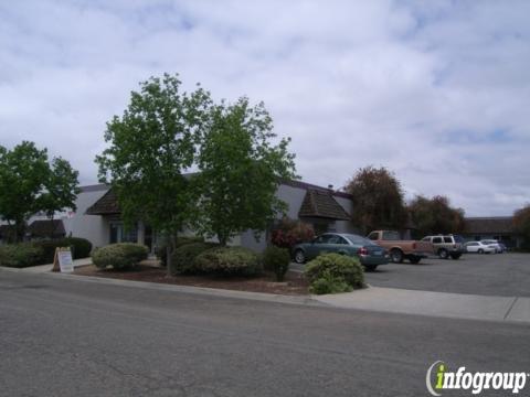 Fiberlink Webbing Products