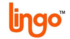 Lingo