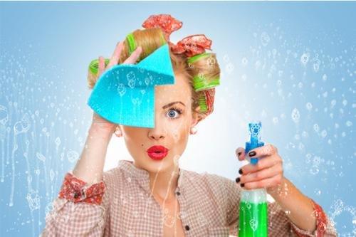 Bippity Boppity Boo Cleaning Services