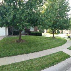 DW Lawn Care And Landscaping