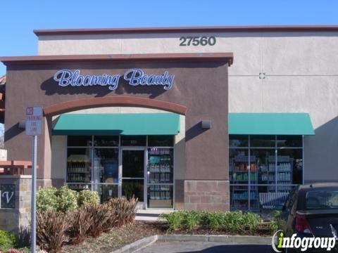 Christopher S Go Ddsa Pro