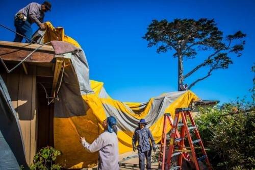 Allguard Termite & Pest Control