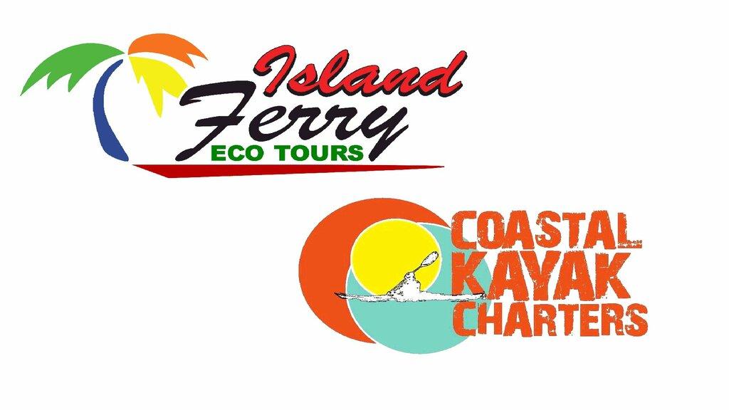 St Pete Kayaking