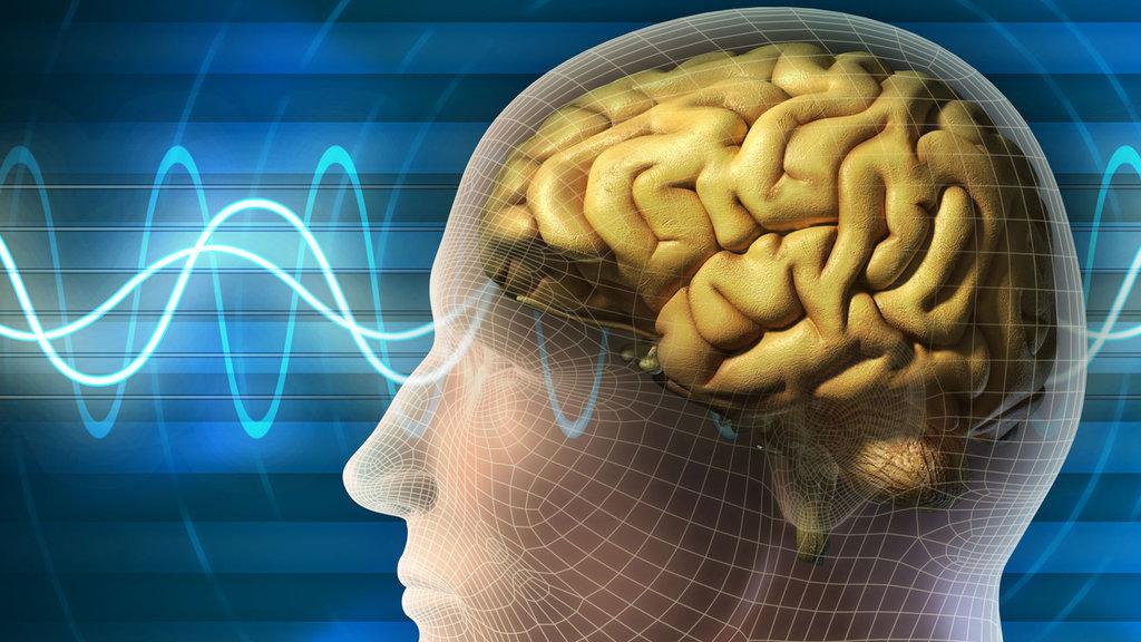 Neuroscience Associates