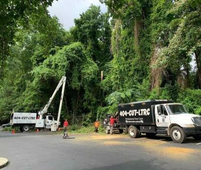 LTRC-Tree Specialists