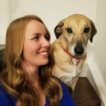 Bark Busters in Home Dog Training-Scarborough / Durham Region