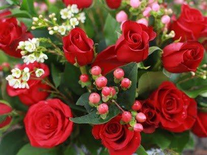 Farida Floral