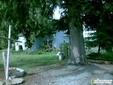 M & M Home & Lawn Care