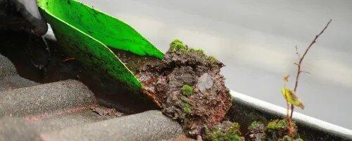 Diamond Landscape & Design LLC