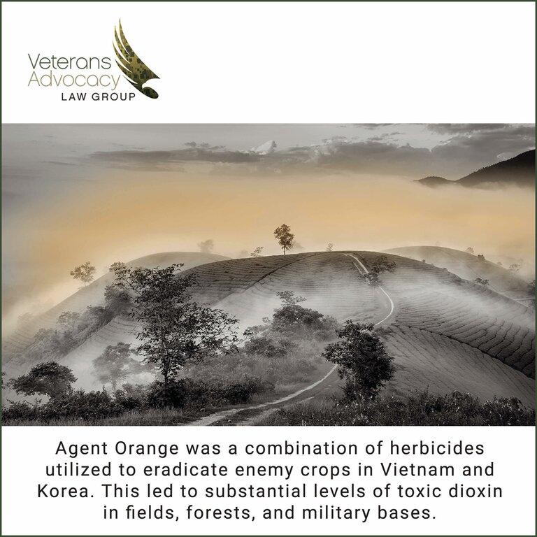 Veterans Advocacy Law Group