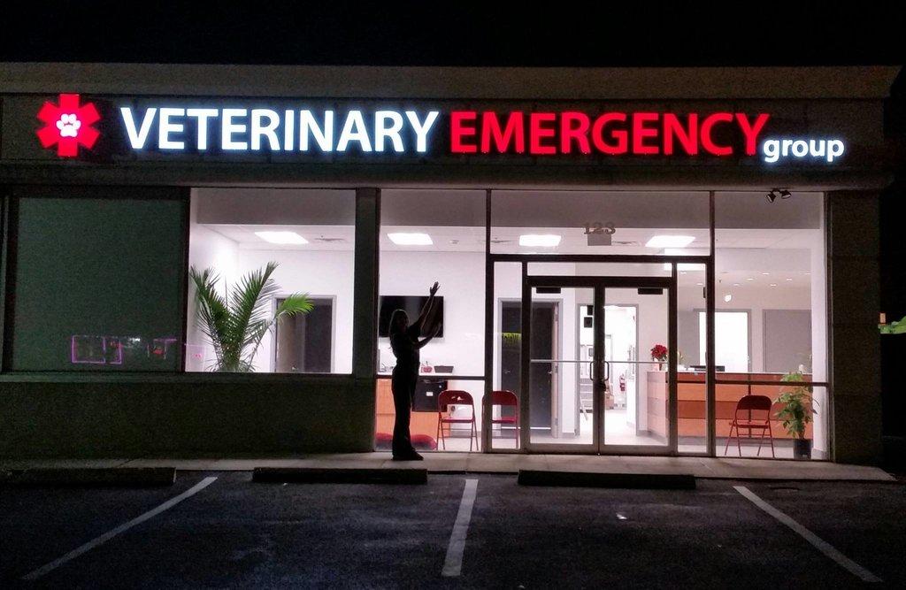 Veterinary Emergency Group