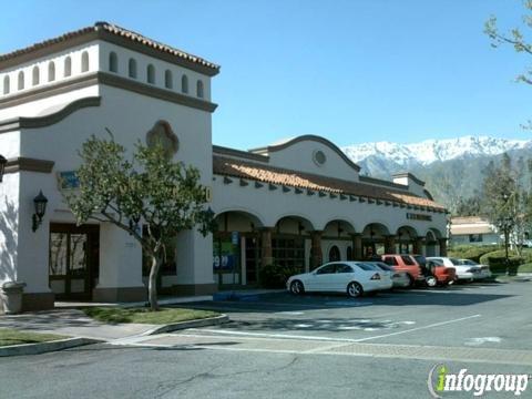 Pacific Fortis Group