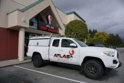 Atlas Pest & Wildlife Control Ltd