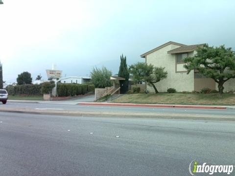 Woody's Tree Service