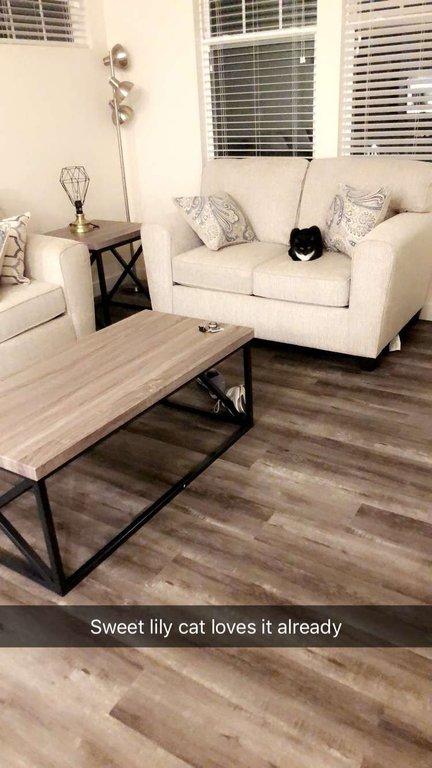 Altair At The Preserve