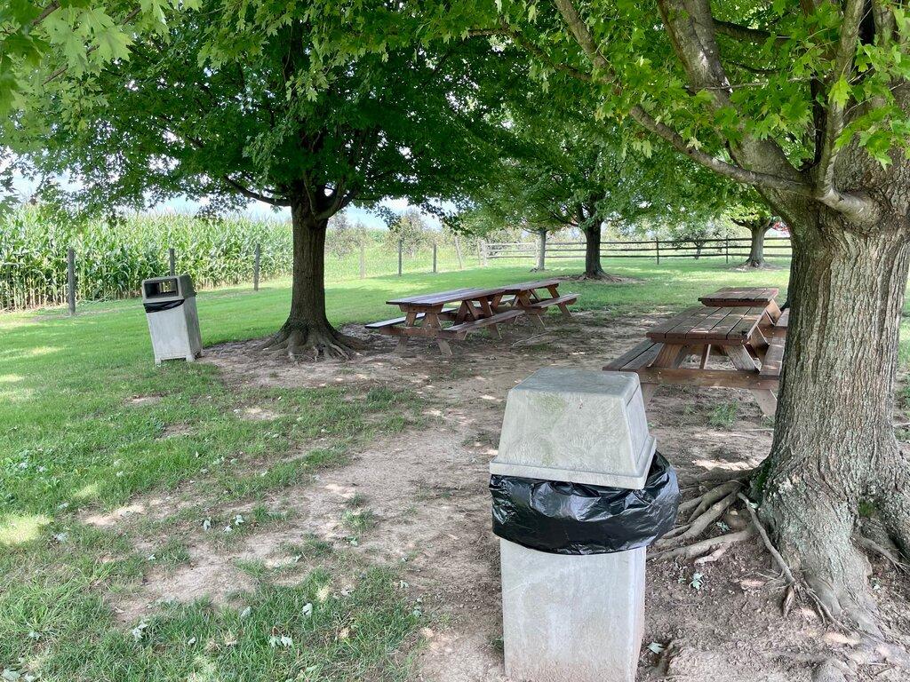 Johnson Home Picnic Area