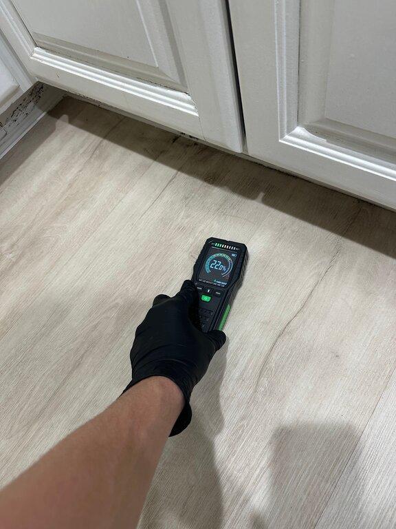 24H Mold Inspection of San Bernardino