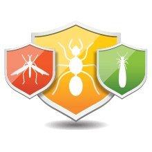 got bugs? Termite & Pest Solutions