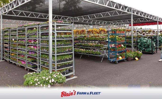 Blain's Farm & Fleet-Muscatine, Iowa