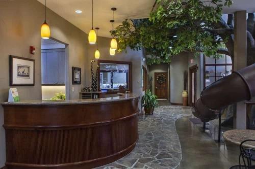 Debra C Duffy DDS PA