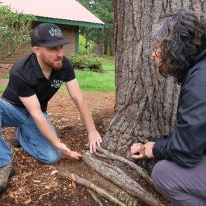 Earthworks Tree Service