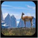 Southamerica Travel LLC