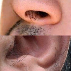 The Roost Barber Lounge