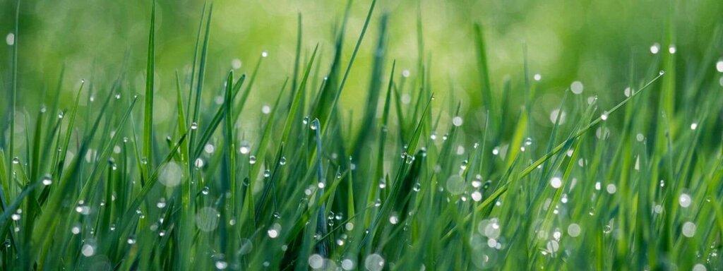 Senske Services-Tacoma