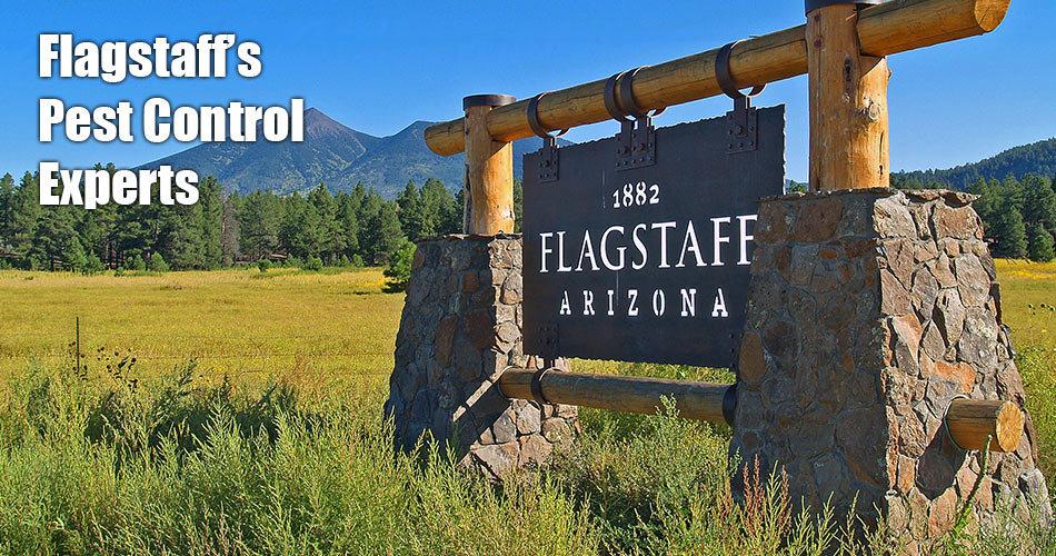 Bulwark Exterminating