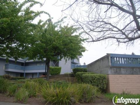 Sapphire Automation Inc